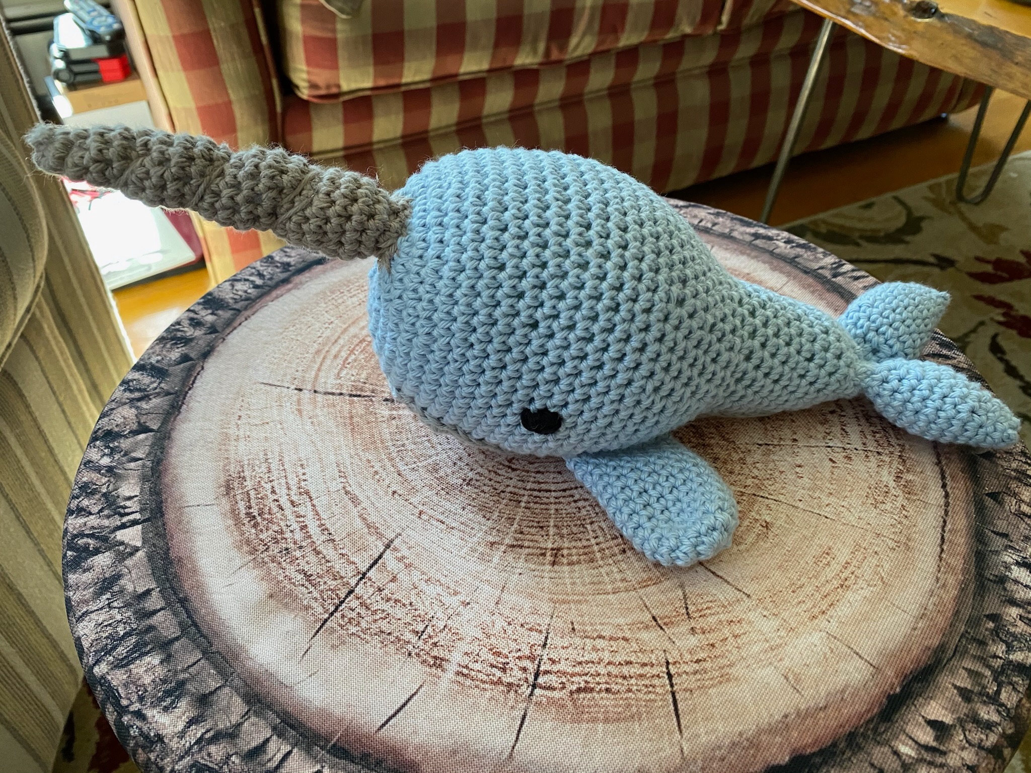 Nori the Narwhal